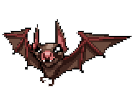 Morcego
