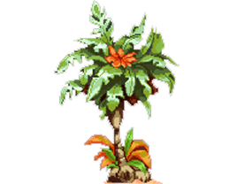 Palmeira